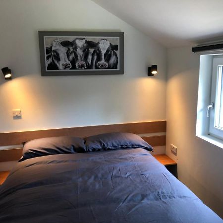 Appartamento Lucy'S Loft Cork Esterno foto