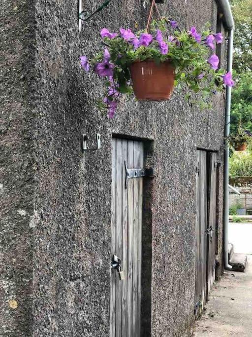 Appartamento Lucy'S Loft Cork Esterno foto